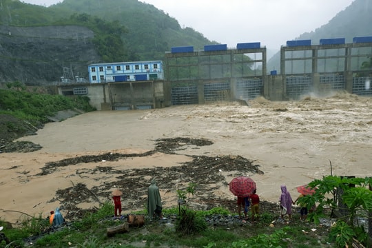 Liều mình tranh cướp với thủy thần vớt củi trong nước xiết
