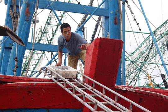 Sau bão, ngư dân Nghệ An thu nhập khá từ đánh bắt hải sản 