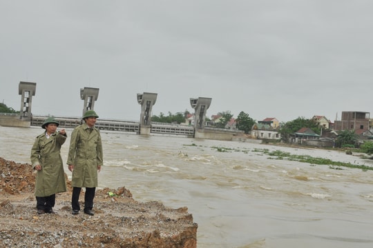 Giám đốc Sở Nông nghiệp kiểm tra, chỉ đạo các biện pháp cứu lúa