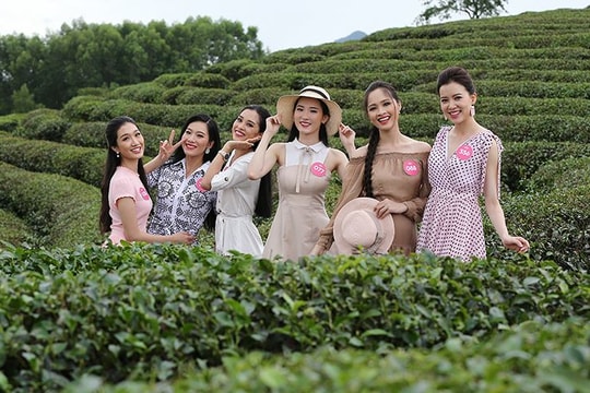 Ngắm nhan sắc thí sinh HHVN thả dáng ở đồi chè Thanh Chương