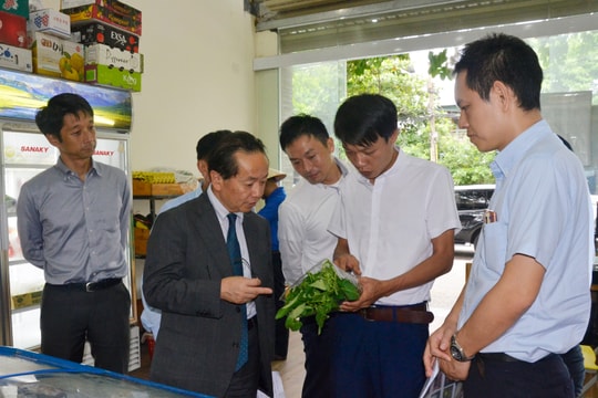 Nhân rộng các mô hình phát triển nông nghiệp hiệu quả mà JICA hỗ trợ