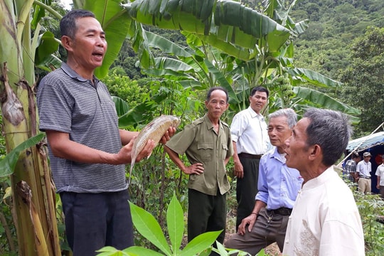 Những người lính trên mặt trận giảm nghèo