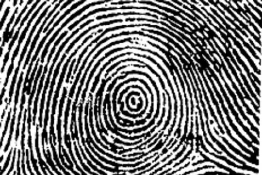 Nếu sở hữu vân tay kiểu này, bạn sinh ra đã là người có biệt tài hiếm thấy