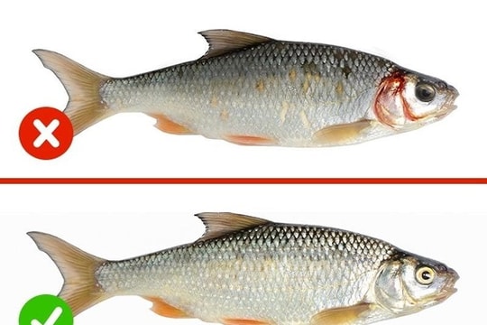 Cách nhận biết thực phẩm an toàn, không bị nhiễm độc