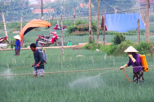 Nghệ An sử dụng hơn 500 tấn vật tư bảo vệ thực vật mỗi năm
