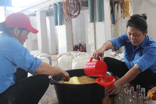 Liên ngành BHXH - Công an Nghệ An thanh tra đột xuất 8 doanh nghiệp 