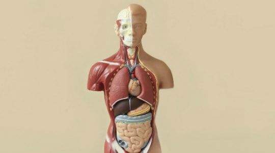 Điều gì xảy ra với người ngồi trong ôtô khi gặp tai nạn?