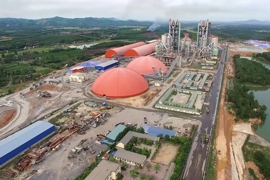 Đẩy mạnh liên kết vùng, nâng cao hiệu quả sản xuất và năng lực cạnh tranh