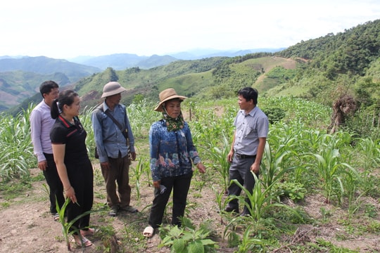 Kỳ Sơn đề bạt, bổ nhiệm và luân chuyển 111 cán bộ