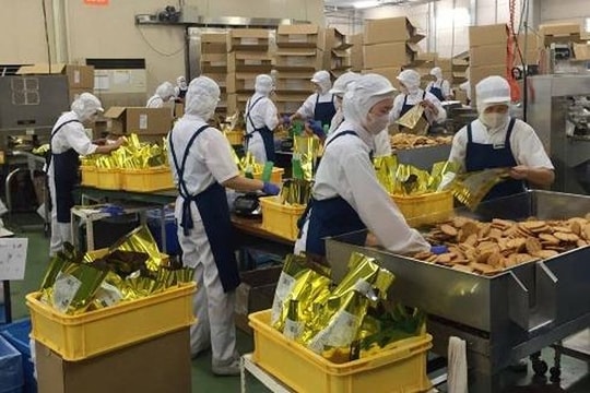 Quy định về điều chuyển công việc và điều chỉnh lương