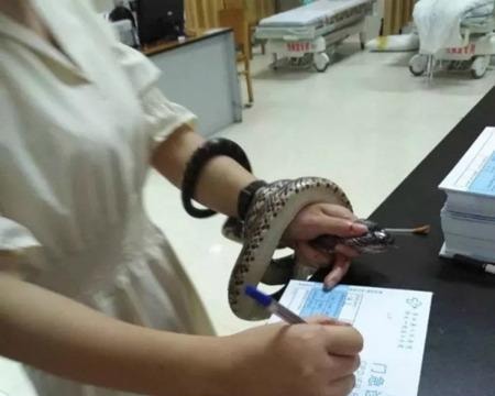 Cô gái mang theo con rắn cắn mình vào bệnh viện khám