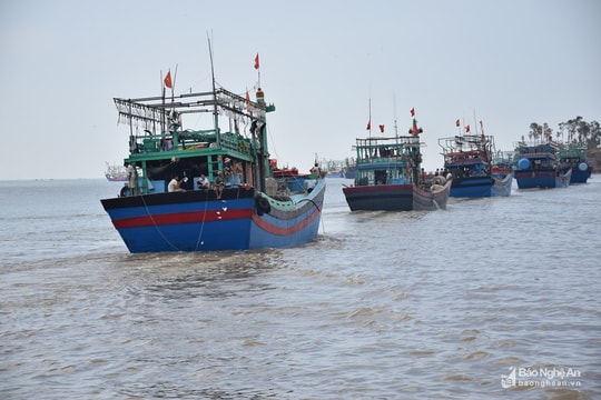 Nỗ lực gỡ bỏ “thẻ vàng” đối với khai thác hải sản của Việt Nam