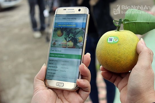 Nghệ An: 17 sản phẩm nông nghiệp, tiểu thủ công nghiệp được dán tem truy xuất nguồn gốc