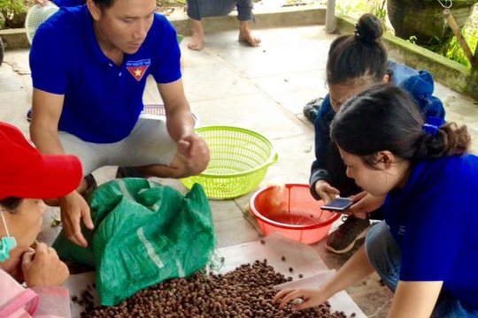  Leo núi hái sim gây quỹ giúp trẻ em nghèo