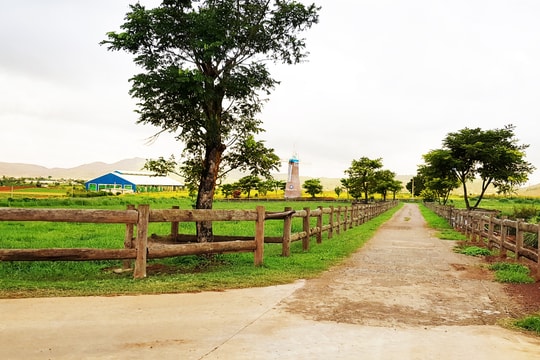 Vinamilk mở rộng đầu tư vào miền Tây Nam Bộ