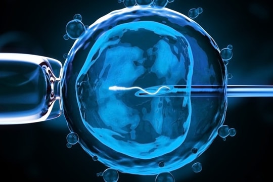 Khi nào nên làm thụ tinh trong ống nghiệm