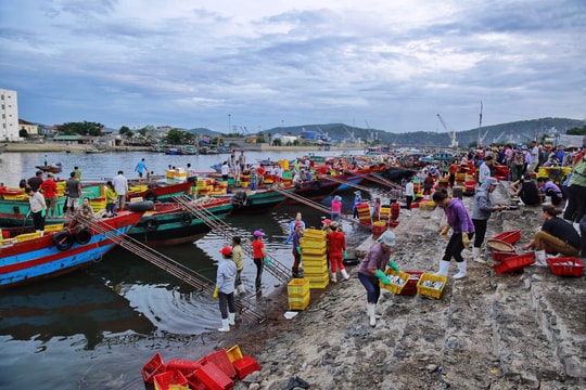 Cận cảnh một trong những bến cá sầm uất nhất Nghệ An