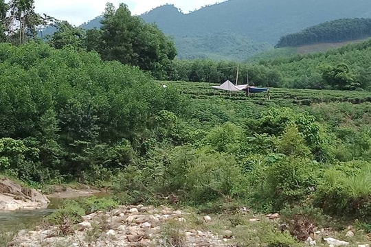 Nghệ An: Phát hiện thi thể người đàn ông tử vong bất thường gần bờ suối