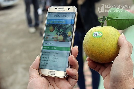 Hướng dẫn cách tạo mã và in các loại mã số mã vạch trên sản phẩm, hàng hóa