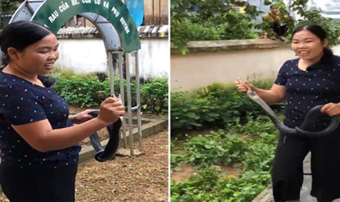 Cô giáo mầm non tay không bắt rắn hổ mang gây xôn xao
