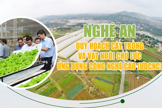 [infographic] Nghệ An quy hoạch cây trồng và vật nuôi chủ lực ứng dụng công nghệ cao