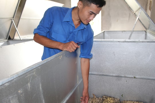 9X trở thành triệu phú nhờ nuôi côn trùng