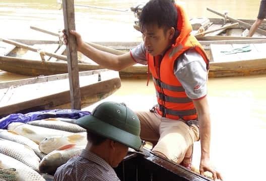 Cá chết hàng loạt, lúa ngập bùn sau lũ