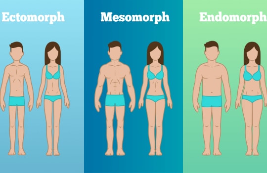 Cách nhận biết tạng người để thiết lập chế độ ăn uống và luyện tập phù hợp