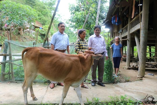 Mô hình Chi bộ Đảng giúp hộ nghèo ở Kỳ Sơn