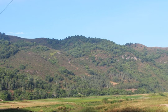 Đi cắt cây rành rành, một người đàn ông mất tích bí ẩn trên núi