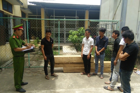 Bắt nhóm người vào rừng đe dọa cán bộ, cướp gỗ lậu