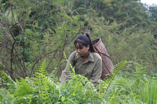 Bố mẹ mất khả năng lao động, cô trò nghèo gác lại ước mơ đại học