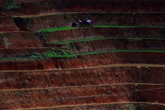 Ruộng bậc thang Yên Bái nằm trong top “Ảnh Trái Đất” ấn tượng nhất
