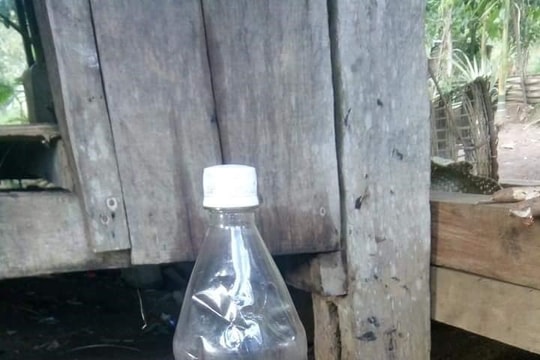 Uống rượu ngâm với rễ cây rừng, hai cậu cháu tử vong