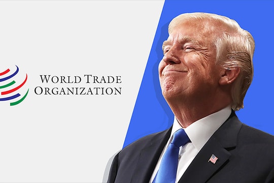 Tổng thống Mỹ cân nhắc rút khỏi WTO