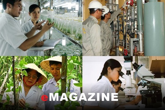 Xây dựng và phát triển đội ngũ trí thức - những vấn đề đặt ra