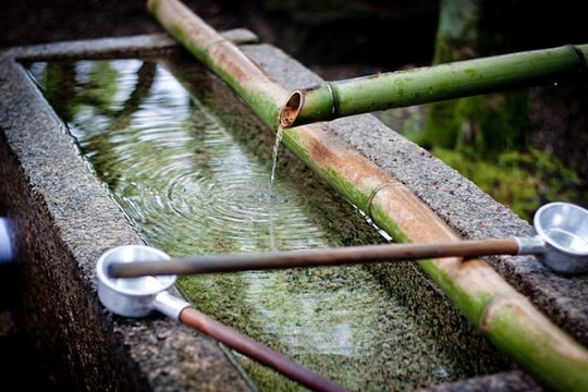 Cách tự làm trong và khử trùng nguồn nước sau mưa lũ