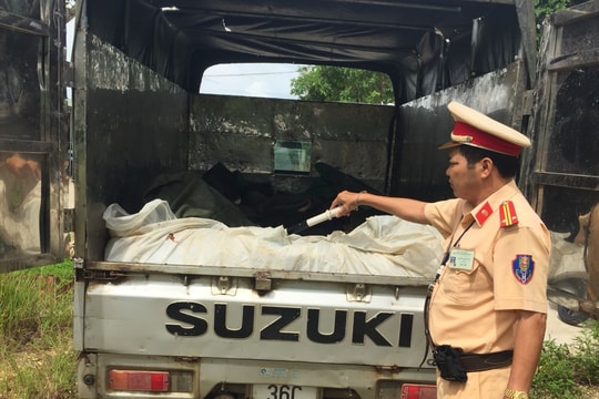 Thu giữ gần 500kg da trâu bốc mùi hôi thối vận chuyển trên xe tải