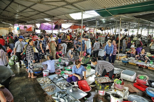 Chợ cá Nghi Thủy hút khách du lịch 