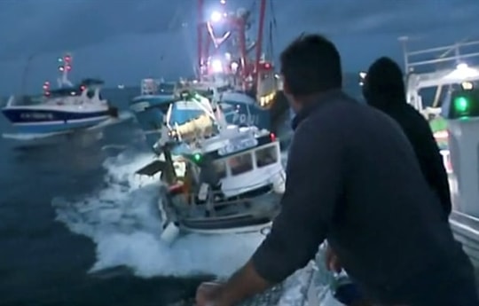 Hồi kết cuộc chiến sò điệp Anh - Pháp