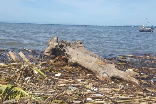 Sau những ngày mưa lớn, biển Quỳnh ngập rác