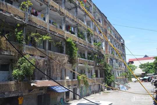 Họp bàn phương án chuyển giao, tiếp nhận nhà chung cư D2 Quang Trung