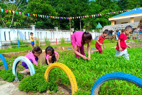 Giáo viên, phụ huynh ở trường vùng biên trồng rau phục vụ bữa ăn cho trẻ