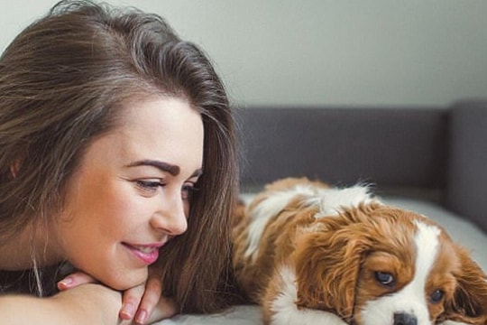 Cách phòng tránh 4 bệnh nguy hiểm từ chó mèo cho chủ nhà