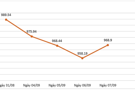 Thị trường chứng khoán điều chỉnh như kịch bản đã được dự báo
