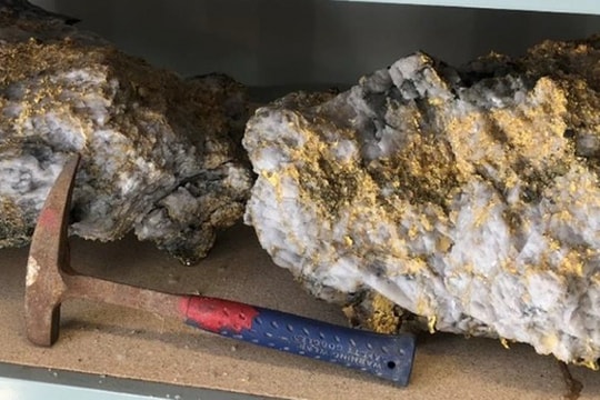 Thợ mỏ tìm thấy hai tảng đá ngậm vàng trị giá 11 triệu USD