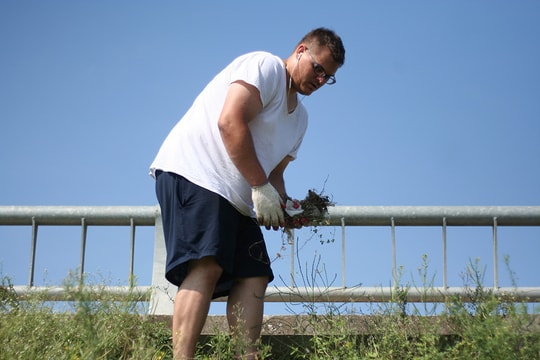 Tình nguyện viên Mỹ dọn rác trên tuyến đê xung yếu của TP. Vinh
