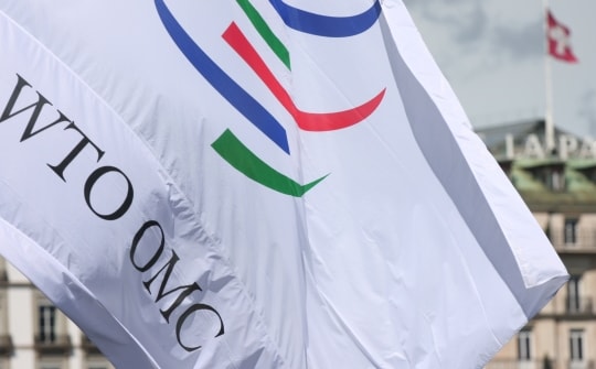 Cải tổ WTO: Ngưỡng cửa lớn đã mở