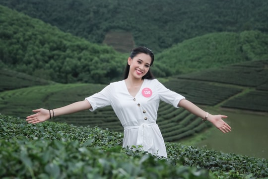 Tân Hoa hậu Việt Nam đẹp rạng rỡ ở đảo chè Nghệ An