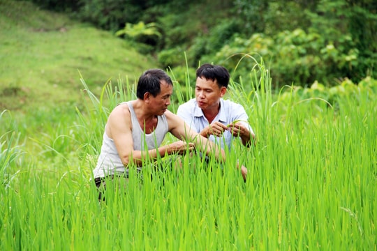 Những người trẻ làm đổi thay vùng đất tái định cư